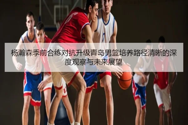 杨瀚森季前合练对抗升级青岛男篮培养路径清晰的深度观察与未来展望